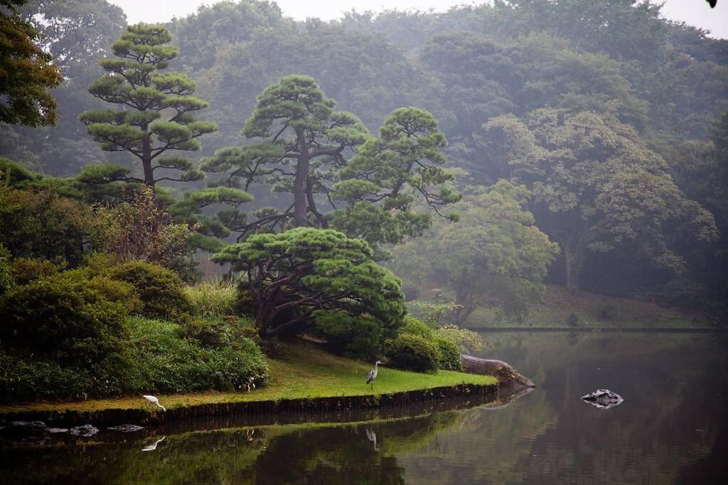 Tora Hotel Tokyo-Rikugienn 寅ホテル 六義園 A Екстериор снимка